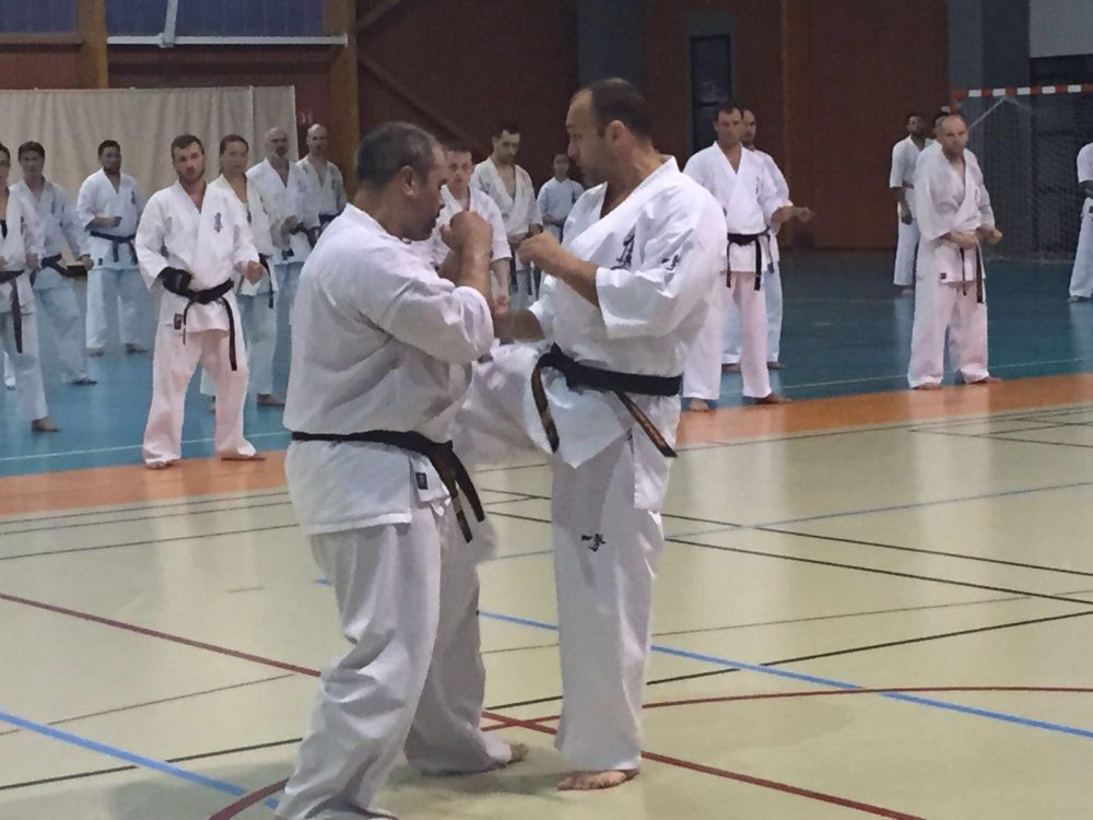 emil-kostov-seminar